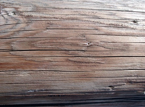 Rough Wood