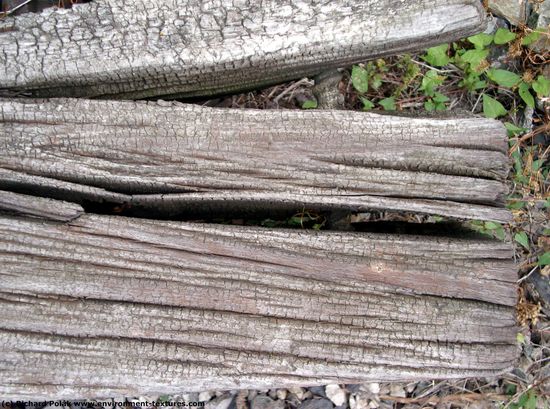 Rough Wood