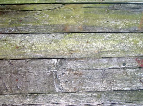 Dirty Planks Wood