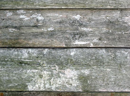 Dirty Planks Wood