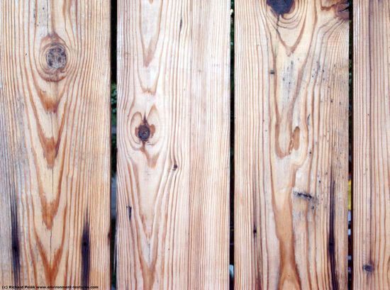 Bare Planks Wood