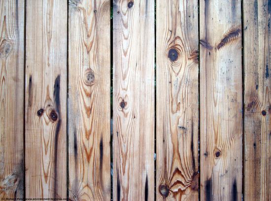 Bare Planks Wood