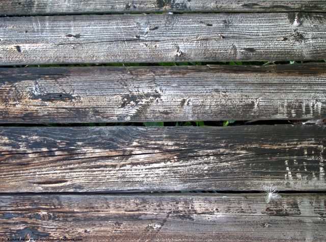 Various Planks Wood