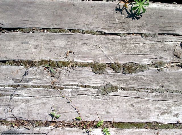 Various Planks Wood