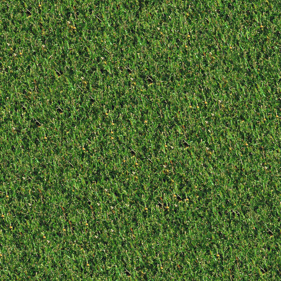 Seamless Grass