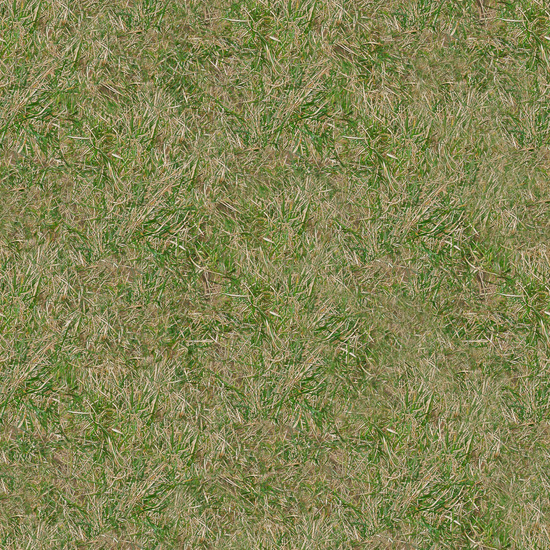 Seamless Grass