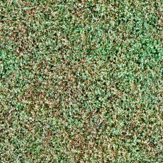 Seamless Grass