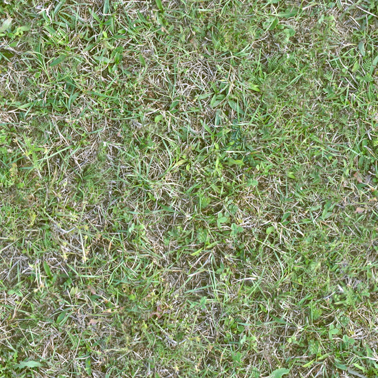 Seamless Grass