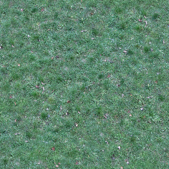 Seamless Grass