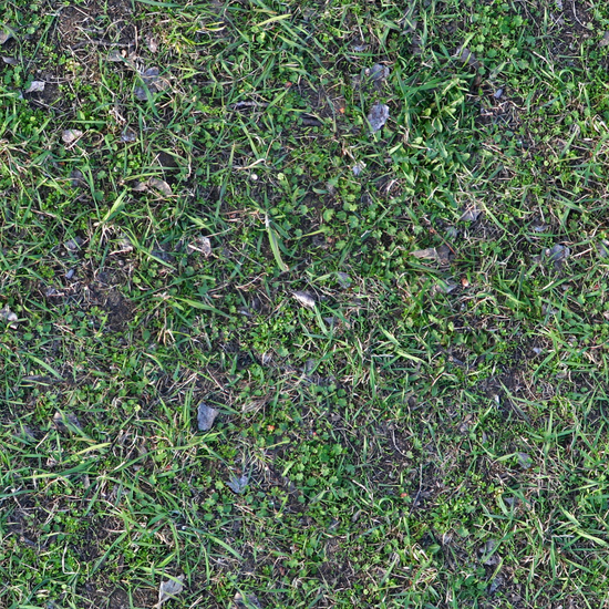 Seamless Grass