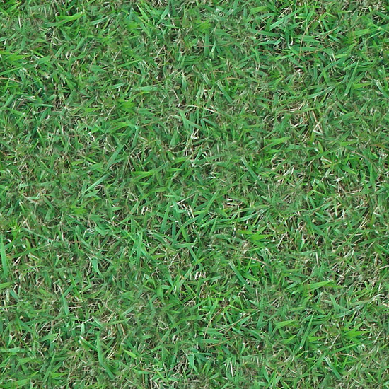 Seamless Grass