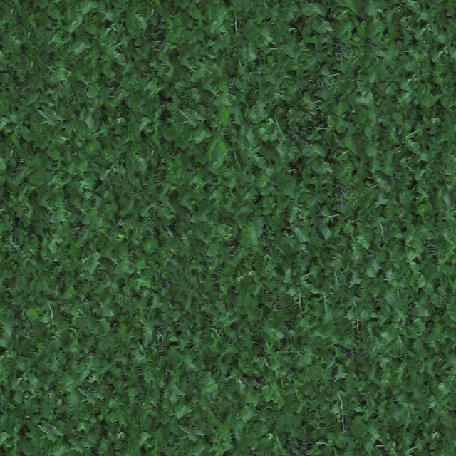 Seamless Grass