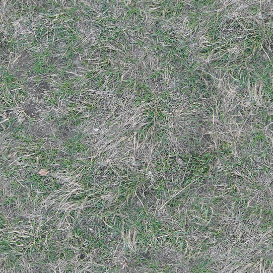 Seamless Grass Dead