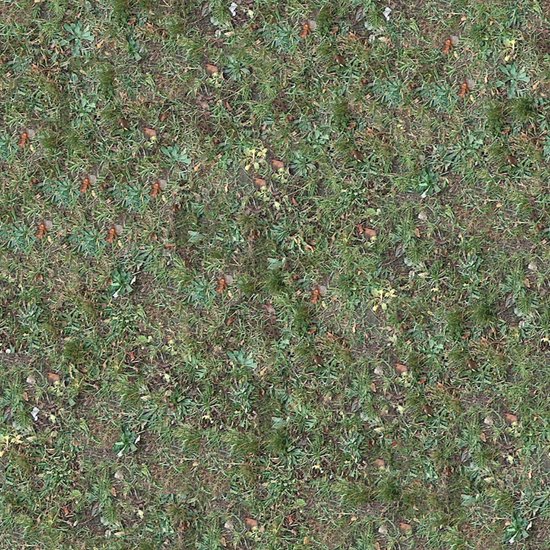 Seamless Grass