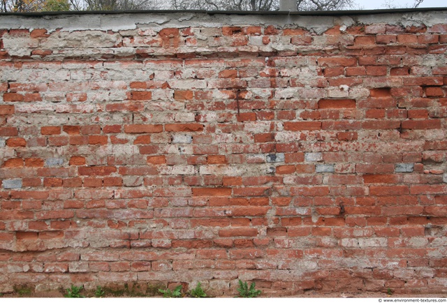 Wall Bricks Damaged