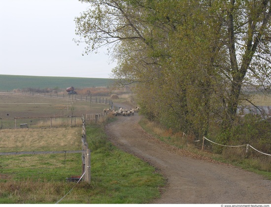 Background Roads