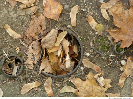 Various Soil