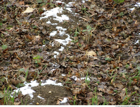 Various Soil