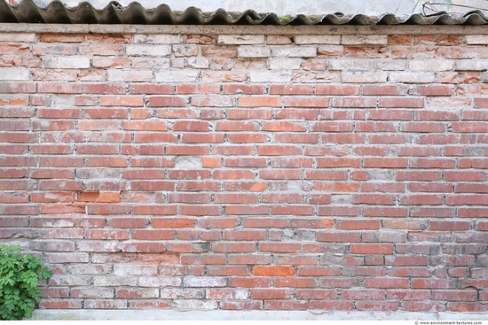 Wall Bricks Damaged