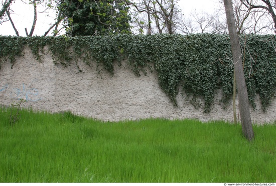 Walls Facade Stones Wall Bricks Overgrown