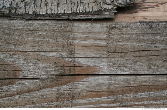 Rough Wood