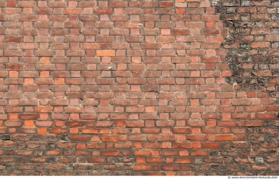 Wall Bricks Damaged