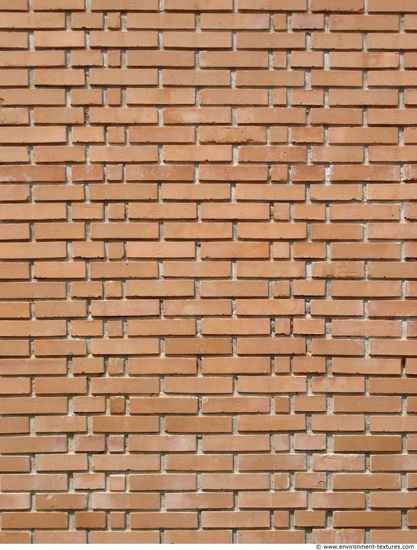 Wall Bricks Damaged