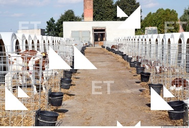 Inspirations Buildings