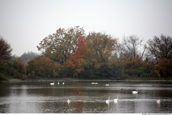 Natures Autumn