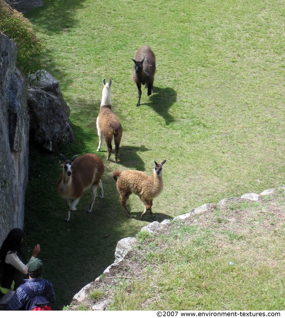 Peru