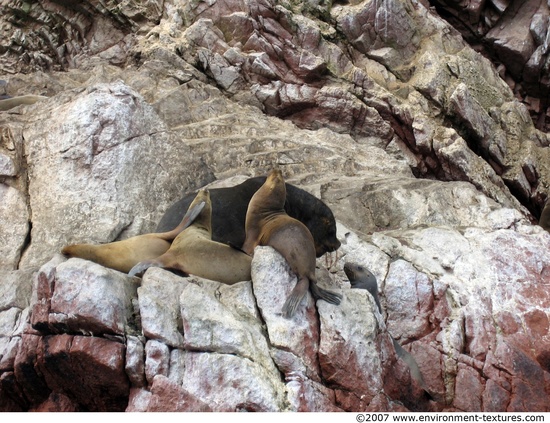 Peru