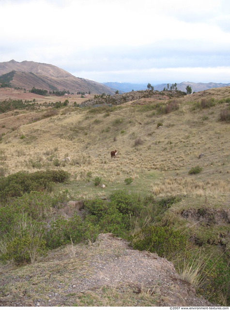 Peru