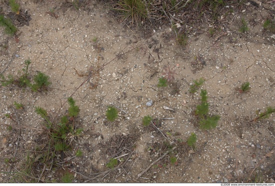 Various Soil