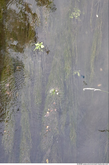 Waterplants