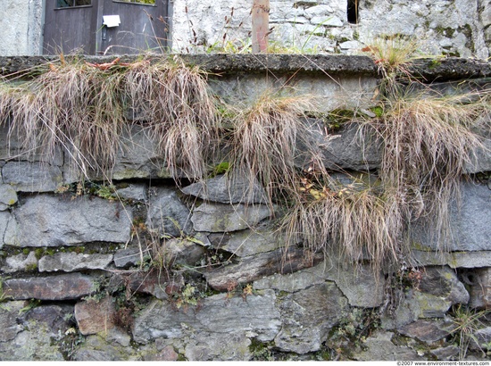 Overgrown Walls Stones