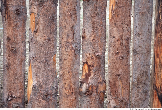 Various Planks Wood