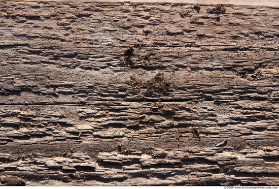 Rough Wood