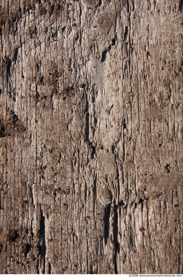 Rough Wood