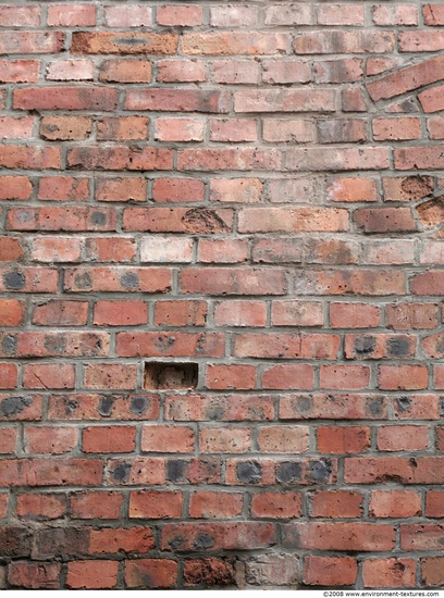 Wall Bricks Damaged