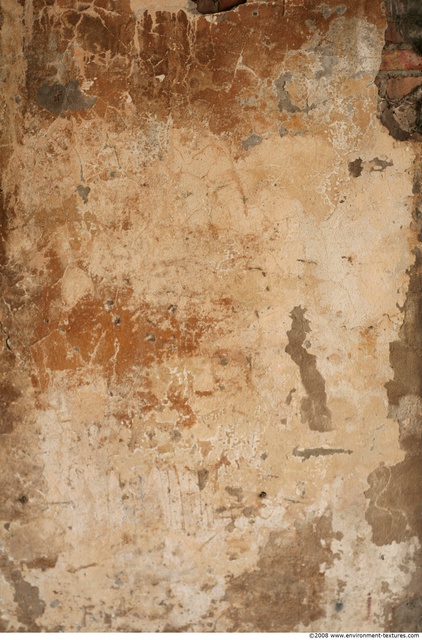 Walls Plaster Damaged