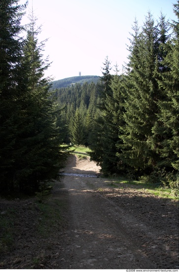 Background Forests