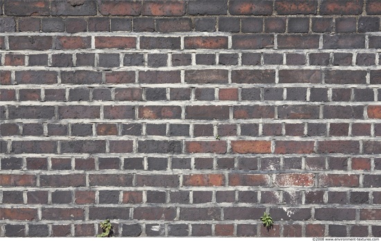 Wall Bricks Damaged