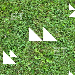 Seamless Grass