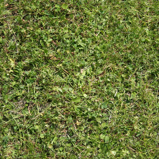 Seamless Grass