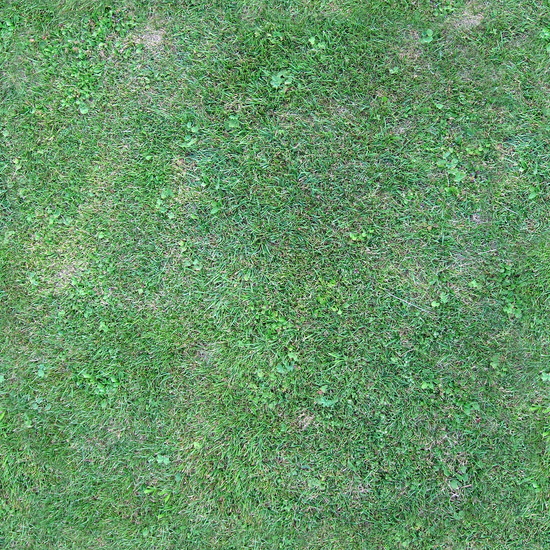 Seamless Grass