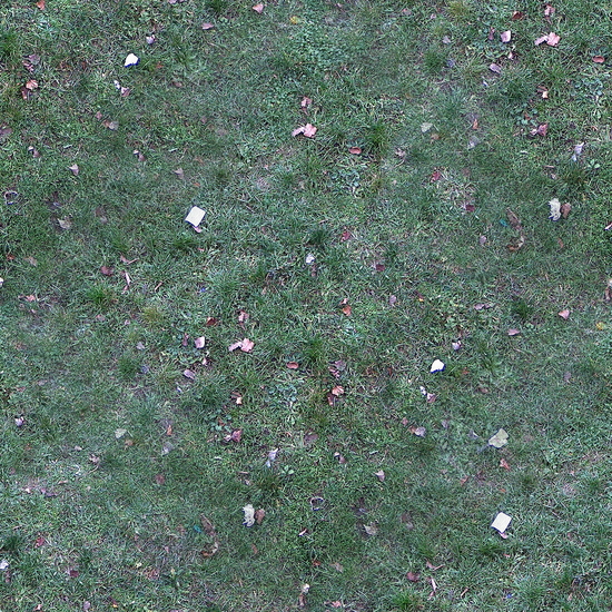 Seamless Grass Frozen