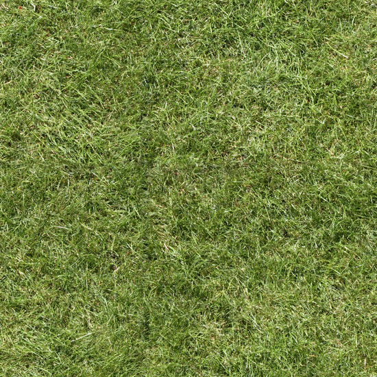 Seamless Grass