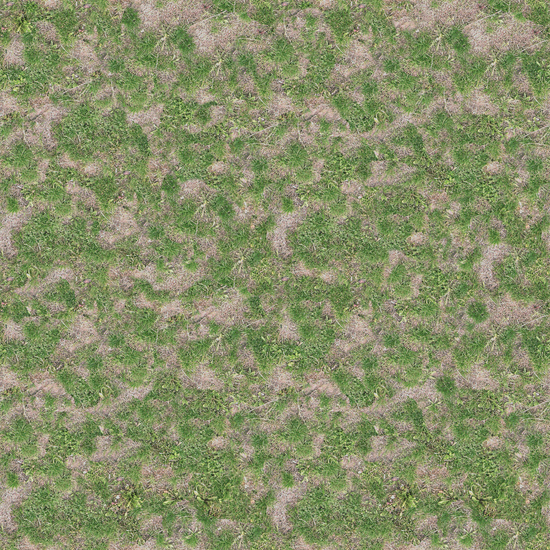 Seamless Grass