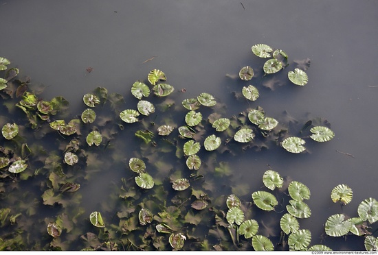 Waterplants