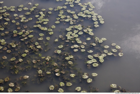 Waterplants